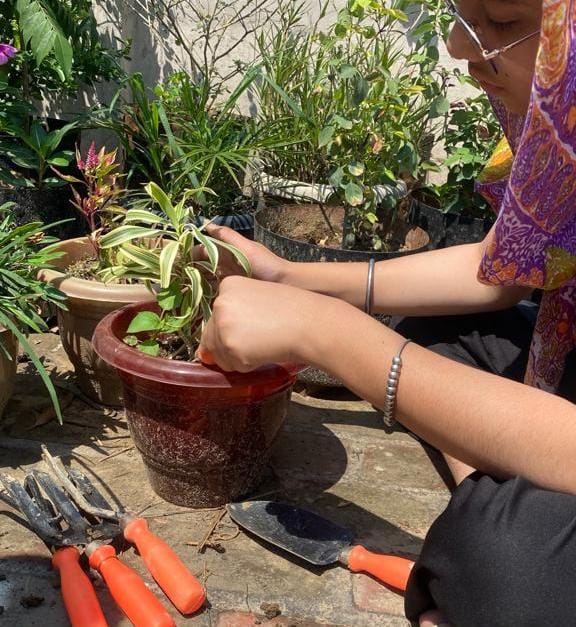 Happiness is ~ watching your plants 🪴☘️🌼😍grow